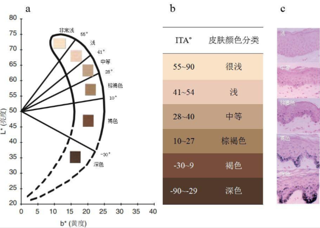 什么是ITA&deg;值？ITA&deg;值越大越好吗？